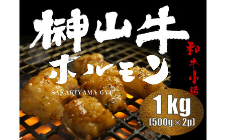 [1週間以内に発送!] 超希少和牛「榊山牛」ホルモン(小腸)焼肉・もつ鍋用 1kg 広島県内最高級和牛 新鮮 ぷりぷりホルモン グルメ 美食