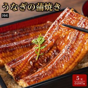 国産うなぎの蒲焼き 5尾（合計875g）