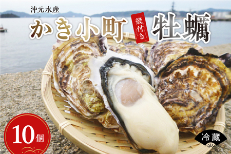 沖元水産 かき小町 殻付き 牡蠣 10個 牡蠣ナイフ、レシピ付