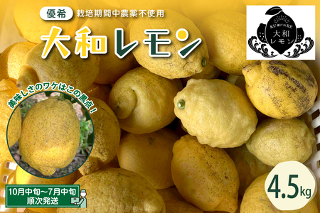 栽培期間中農薬不使用 大和レモン 4.5kg 新鮮 発送日に収穫 檸檬 レモン 果物 くだもの フルーツ ビタミンC 送料無料 広島県 呉市 ku044-013-z