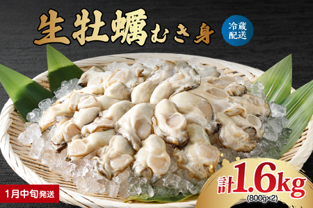 y2026N1{zioY y ނg 1.6kg (800g×2) ku001-006-01-2-25