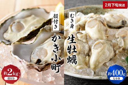 [2025年2月下旬発送]丸十水産 生牡蠣 特選むき身 400g 殻付き かき小町 約2kg (10〜14個) セット 生食可能 生食用 冷蔵便 国産 特選 生牡蠣 音戸産 牡蠣 カキ 旨味 濃厚 新鮮 美味しい 秋 旬 広島県 呉市