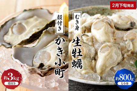 [2025年2月下旬発送]丸十水産 生牡蠣 特選むき身 800g 殻付き かき小町 約3kg (15〜21個) セット 生食可能 生食用 冷蔵便 国産 生牡蠣 音戸産 特選 牡蠣 カキ むき身 旨味 濃厚 新鮮 美味しい 秋 旬 広島県 呉市生食可能 生食用 冷蔵便 国産 音戸産 牡蠣 カキ 旨味 濃厚 新鮮 美味しい 秋 旬 広島県 呉市