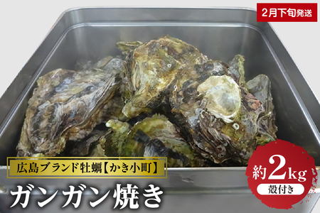 [2025年2月下旬発送]丸十水産 広島ブランド牡蠣 かき小町 ガンガン焼き 約2kg (10〜14個) 冷蔵便 国産 生牡蠣 広島県産 音戸産 牡蠣 カキ 旨味 濃厚 新鮮 美味しい バーベキュー キャンプ 秋 旬 広島県 呉市