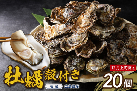 [2025年12月上旬発送]高田水産 殻付かき 20個 (Lサイズ) ku010-002-12-1-25