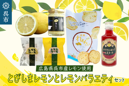 [期間限定]レモン好きのためのレモン1kgとレモン商品詰め合わせセット