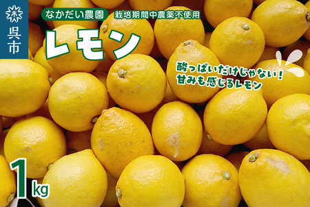 栽培期間中農薬不使用「レモン」 約1kg