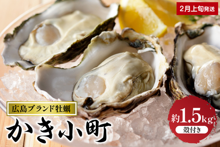 [2025年2月上旬発送]丸十水産 広島ブランド牡蠣 殻付き かき小町 約1.5kg (8〜10個) 先行予約 生食可能 生食用 冷蔵便 国産 生牡蠣 音戸産 牡蠣 カキ 旨味 濃厚 新鮮 美味しい 秋 旬 広島県 呉市