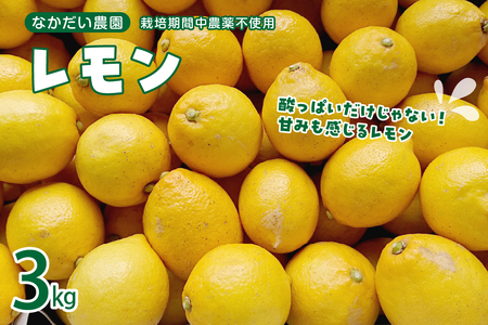 y2025N12`z͔|Ԓ_sgpuv3kg ku033-001-25