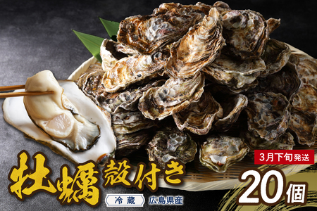 y2026N3{zcY kt 20 (LTCY) ku010-002-03-3-25