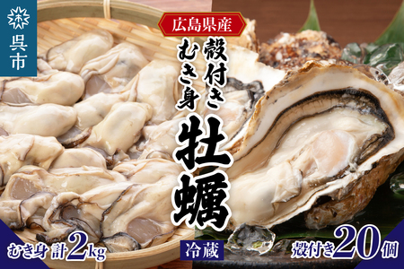 [2026年1月下旬より発送]マルカツ水産 広島県産かき 殻付き 20個 むき身 500g × 4袋 ku155-009-25