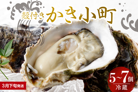 [2025年3月下旬発送]宮原水産 かき小町 殻付き 5〜7個 冷蔵 国産 広島県産 牡蠣 かき 生かき 生牡蠣 お取り寄せ 送料無料 広島県 呉市