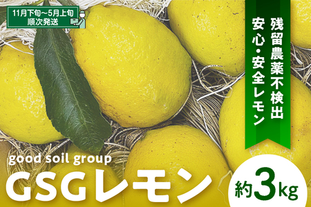 [限定100セット]GSGレモン〜残留農薬不検出〜 約3kg