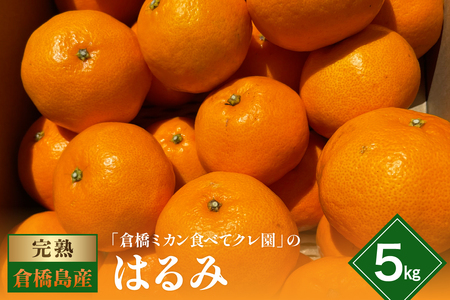 【2026年1月下旬～発送】倉橋ミカン食べてクレ園 はるみ 約5kg ku154-005-25