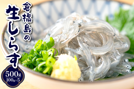 [先行受付]生シラス500g (100g×5個) ku204-003-r