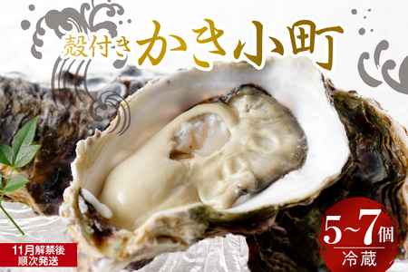 [2025年11月解禁後順次発送]宮原水産 かき小町 殻付き 5〜7個 冷蔵 国産 広島県産 牡蠣 かき 生かき 生牡蠣 お取り寄せ 送料無料 広島県 呉市 ku005-006-11-25