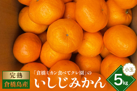 [2025年12月初旬〜発送]倉橋ミカン食べてクレ園 いしじみかん 小玉 約5kg ku154-002-25
