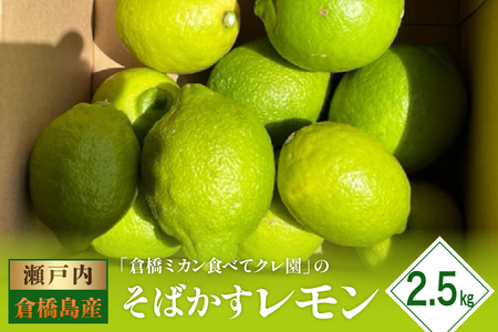 [2025年11月初旬〜発送]瀬戸内特産 そばかすレモン 約2.5kg ku154-011-25