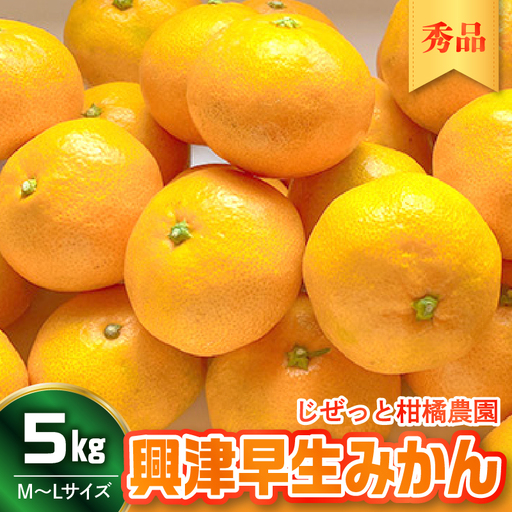 [先行受付][2026年11月上旬〜発送]甘さと酸味が丁度いい!濃厚興津早生みかん5kg 秀品(M〜L:約40個) ku212-005-26
