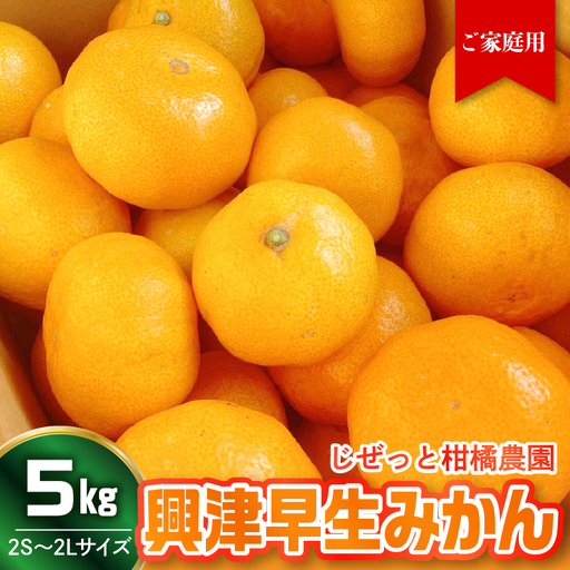 [先行受付][2026年11月上旬〜発送]甘さと酸味が丁度いい!濃厚興津早生みかん5kg 家庭用(2S〜2L:約55個) ku212-006-26