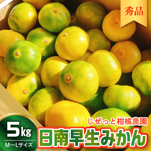[先行受付][2026年10月上旬〜発送]さっぱり日南極早生みかん 秀品 5kg(M〜L 約40個) ku212-007-26