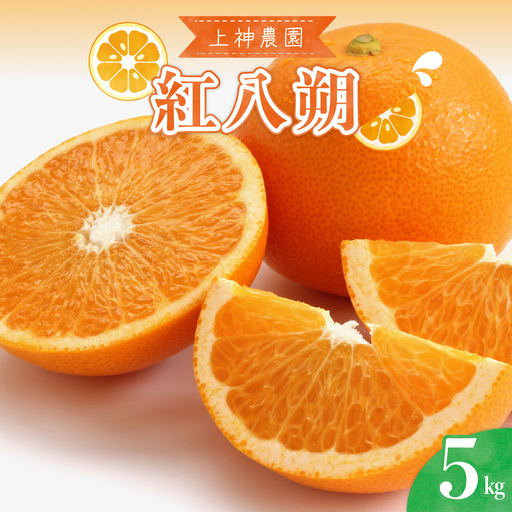 [先行受付][2027年3月上旬〜発送]上神農園の紅八朔 約5kg 柑橘 はっさく 産地直送