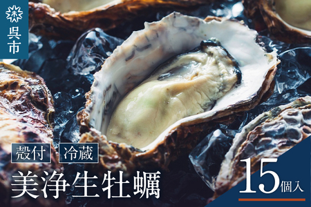 牡蠣 生かき 美浄生牡蠣 殻付き 牡蠣 15ヶ入 広島県 呉市産 生食用 中野水産