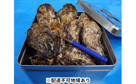 丸十水産 広島ブランド 牡蠣 【かき小町】ガンガン焼き（殻付き12個）
