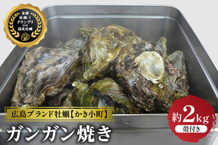 [先行受付][2025年12月より発送]丸十水産 広島ブランド牡蠣 かき小町 ガンガン焼き 約2kg (10〜14個) ku003-006-25