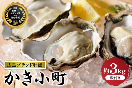 [先行受付][2025年12月より発送]丸十水産 広島ブランド牡蠣 殻付き かき小町 約3kg (15〜21個) ku003-007-25