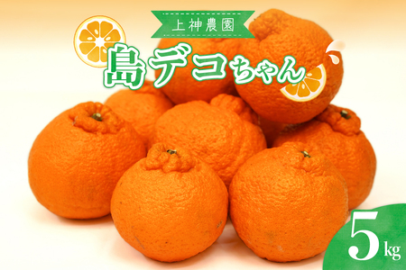 [2026年2月中旬〜発送]上神農園の島デコちゃん 約5kg ku011-005-25