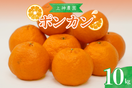 [2026年1月中旬〜発送]上神農園のポンカン 約10kg ku011-008-25