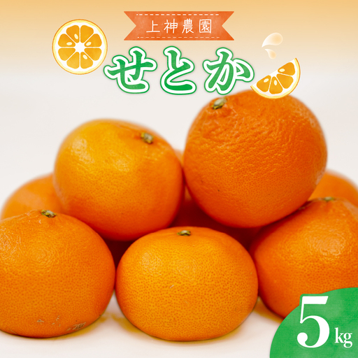先行受付 2027年2月初旬〜発送 広島県産 せとか 約5kg 柑橘