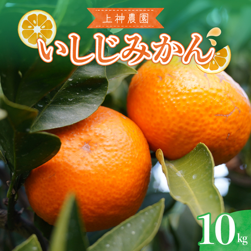 先行受付 2026年12月中旬〜発送開始 いしじみかん 約10kg