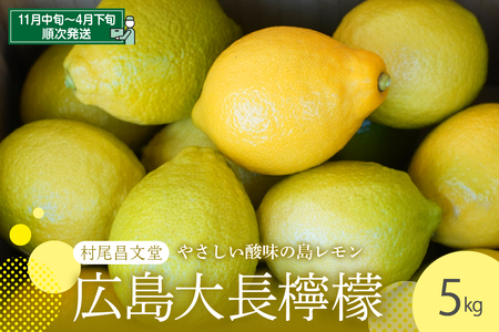 国産檸檬(レモン)発祥の地 広島大長檸檬 5kg 広島県産 瀬戸内 柑橘 レモン 生産量日本一の広島 産地直送 送料無料 果物 フルーツ 12月初旬まではグリーンレモン それ以降はイエローレモン 呉市 フレッシュ 優しい酸味 先行予約