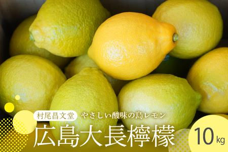 y2025N11{`zYEGij˂̒n@L咷EG@10kg ku012-015-25