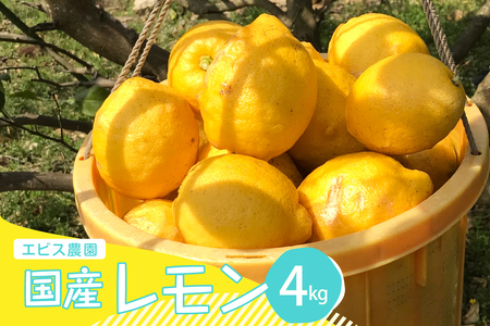 y2025N12{`zy͔|Ԓ_sgpzL@JASF ܂ŔI󏭂ȍYI[KjbN 4kg ku026-002-25