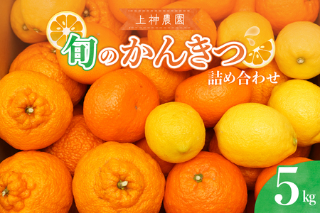 上神農園 旬の柑橘詰め合わせ 約5kg ku011-033-25