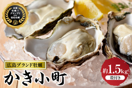 [先行受付][2025年12月より発送]丸十水産 広島ブランド牡蠣 殻付き かき小町 約1.5kg (8〜10個) ku003-009-25