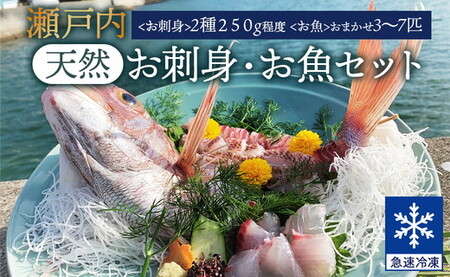 瀬戸内「天然」お刺身・お魚セット(急速冷凍)| 魚介類 海の幸 海鮮 詰め合わせ 国産 日本産 広島県産 即日加工 急速凍結 鮮度抜群 マダイ マダコ 刺身 小さめ 魚 瀬戸内海 刺身