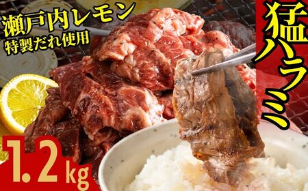y˓zn~ 1.2kg (300g×4pbN) 쐸X̋n~y 󂠂  ^pbN Ⓚ  n~ t ē BBQ L |szւ̔zs