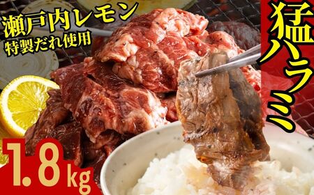 y˓zn~ 1.8kg (300g×6pbN) 쐸X̋n~y 󂠂  ^pbN Ⓚ  n~ t ē BBQ L |szւ̔zs