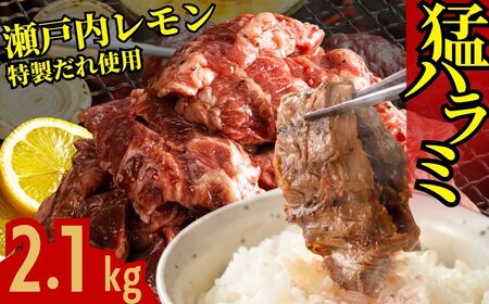 y˓zn~ 2.1kg (300g×7pbN) 쐸X̋n~y 󂠂  ^pbN Ⓚ  n~ t ē BBQ L |szւ̔zs