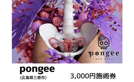 チケット 広島 pongee 美容整骨 施術券 3,000円分 フェムケア 矯正 骨盤矯正 美容 サロン 3000円 広島県 三原市