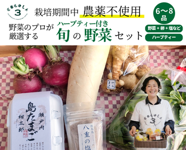 旬の野菜 ハーブティー セット 野菜 3〜5種類 詰め合わせ 野菜 塩 卵 たまご レシピ 広島県 三原市 佐木島