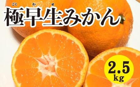 みかん 柑橘[先行受付][2025年10月中旬以降発送] 甘さと酸味が絶妙!極早生 みかん 約2.5kg 三原 佐木島 017038