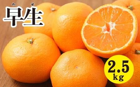 ݂ystzy2025N11ȍ~zÂȂI Â݂Ǝ_ ݂ 2.5kg L O ؓ 듇݂񂶂 017039