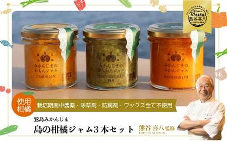 [熊谷喜八監修] 鷺島みかんじまジャム 3本セット(140g×3個) れもんジャム みかんジャム 青みかんジャム 広島 三原 佐木島 鷺島みかんじま レモン みかん フルーツ 果物 017035