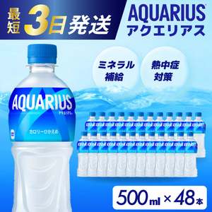 アクエリアス PET 500ml×48本（24本×2ケース）最短3日で発送 スポーツドリンク スポーツ飲料 清涼飲料水 水分補給 ペットボトル 箱買い まとめ買い 備蓄 災害用 014042