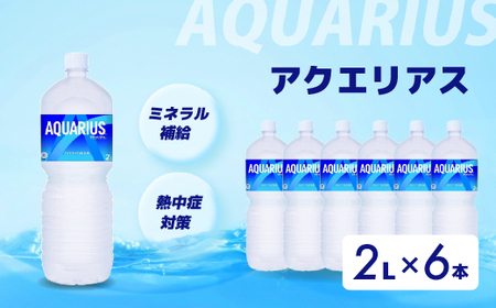 アクエリアス PET 2L×6本 スポーツドリンク スポーツ飲料 清涼飲料水 水分補給 ペットボトル 箱買い まとめ買い 備蓄 災害用 014043